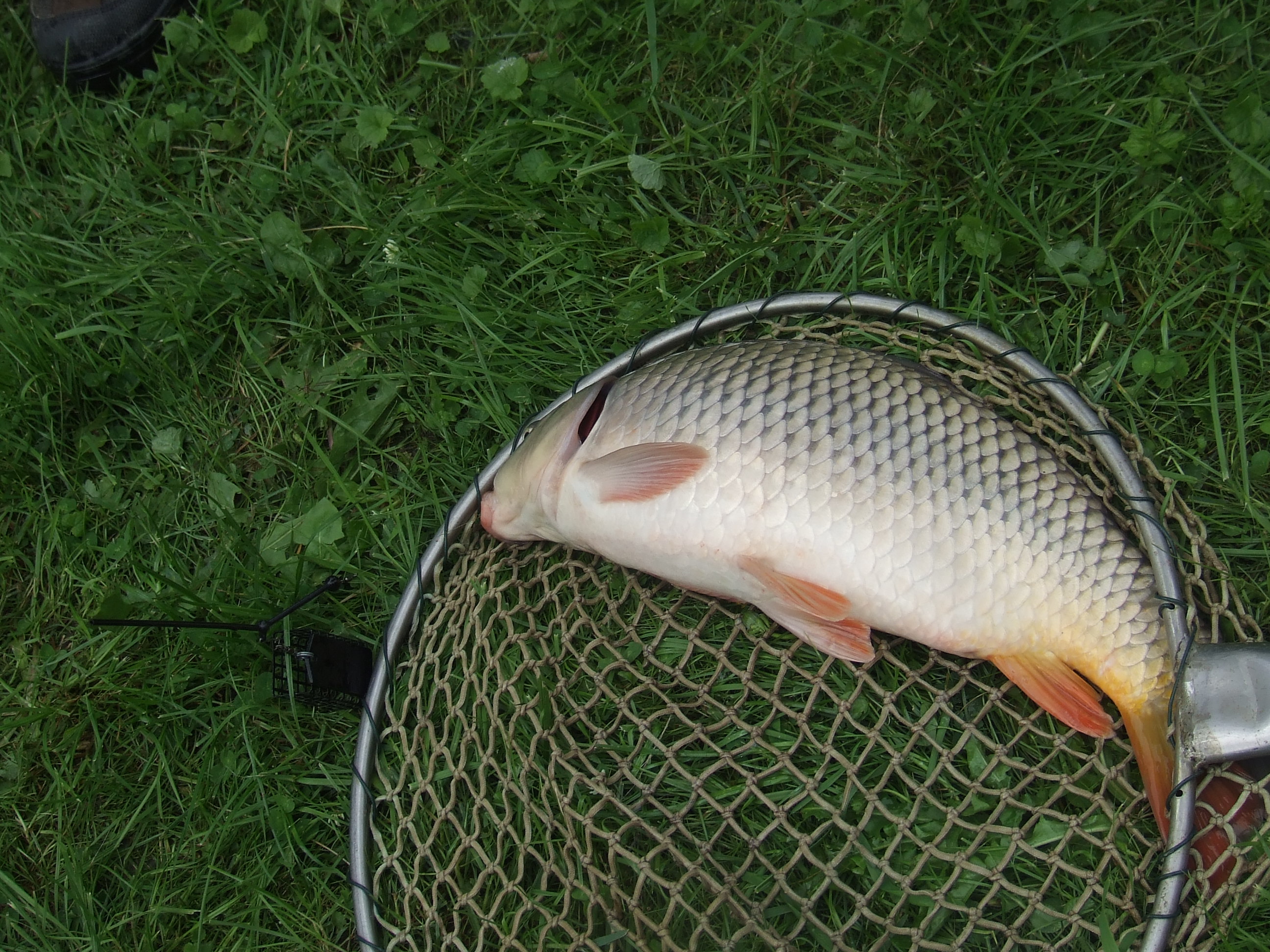 DSCF3438